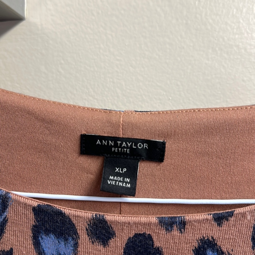 Ann Taylor dress